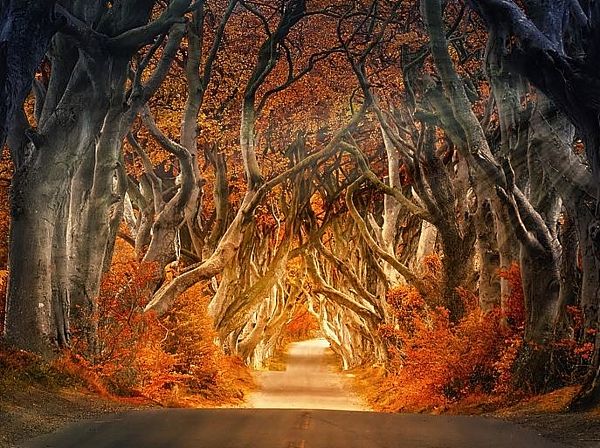 Ιρλανδία : Πλάνα από drone που δείχνουν από ψηλά τα πανέμορφα και καταπράσινα τοπία της νήσου