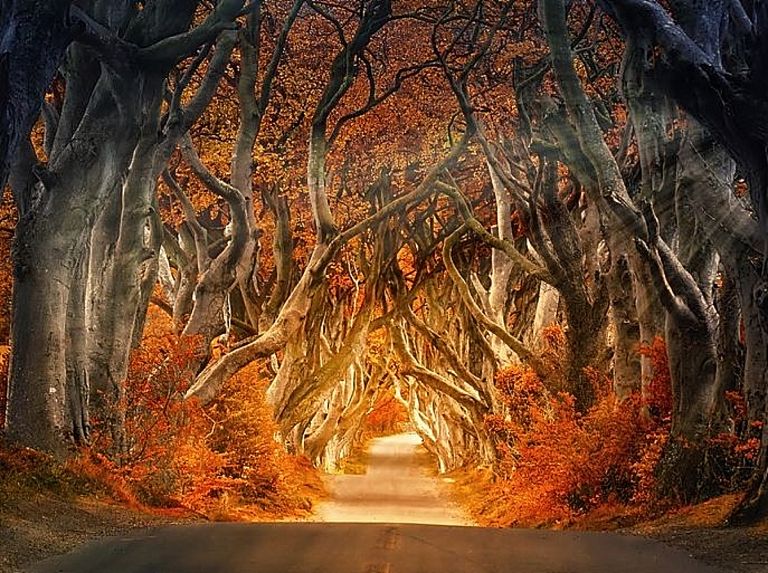 Ιρλανδία : Πλάνα από drone που δείχνουν από ψηλά τα πανέμορφα και καταπράσινα τοπία της νήσου