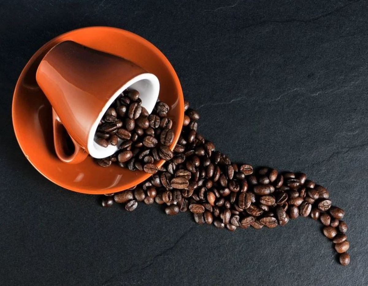 Στενοφύλλα : Ο καφές του μέλλοντος που θα αντέξει στην κλιματική αλλαγή