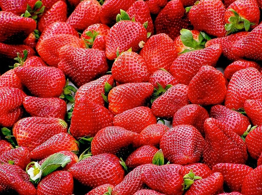 Φράουλες : Οι καλύτεροι τρόποι για τις διατηρήσετε για καιρό