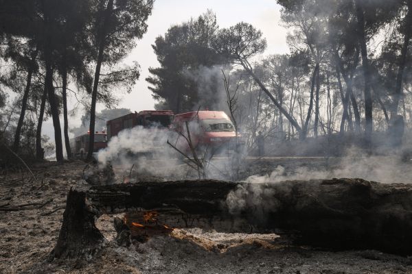 Γεράνεια Όρη: Σε ύφεση η πυρκαγιά, παραμένουν διάσπαρτες εστίες – Απόγνωση στα αποκαΐδια για τους κατοίκους
