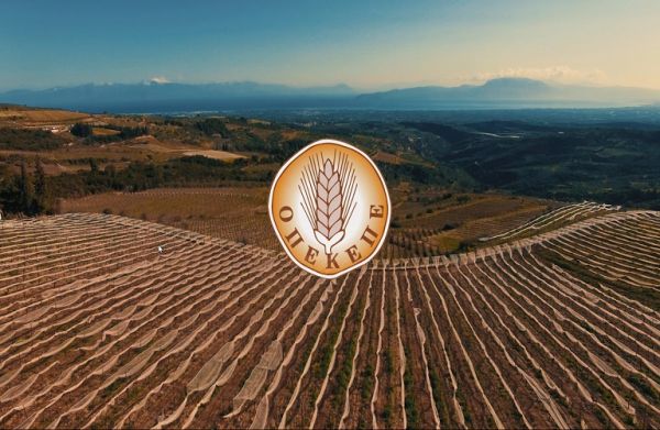 ΟΠΕΚΕΠΕ: Πληρωμές 6,3 εκατ. ευρώ