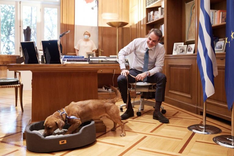 Το δώρο από τις φυλακές Αλικαρνασσού στον νέο ένοικο του Μαξίμου