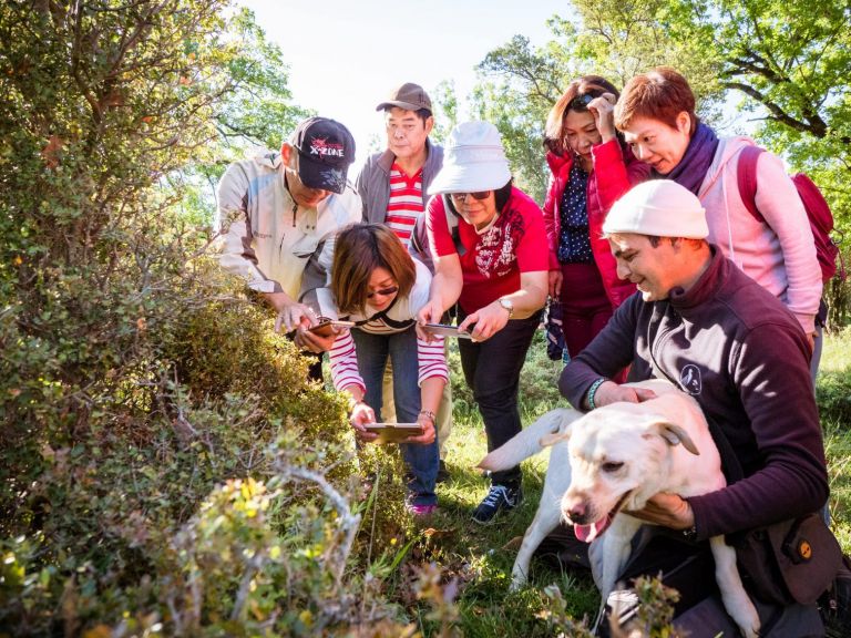 Μετά την καραντίνα έρχεται και το κυνήγι τρούφας