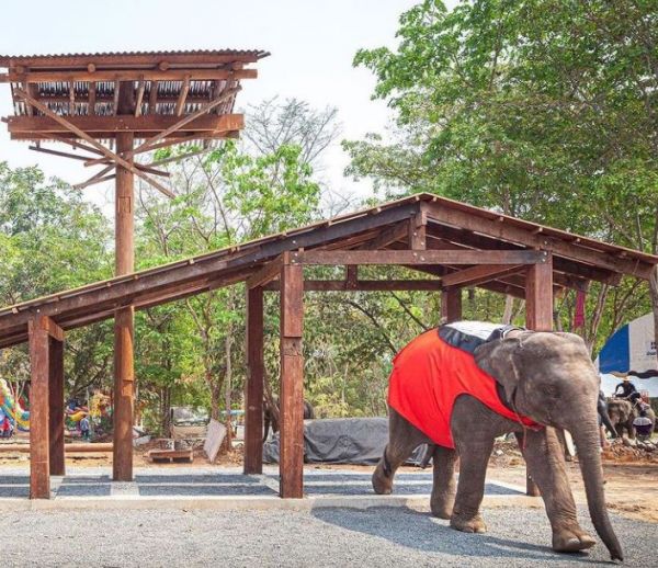 Ένας «ελέφαντας» στην Μπιενάλε Αρχιτεκτονικής της Βενετίας