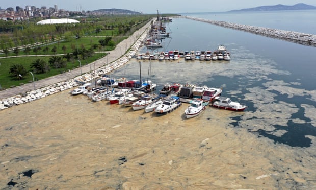 Εισβολή «θαλάσσιας μύξας» πνίγει τις ακτές της Τουρκίας