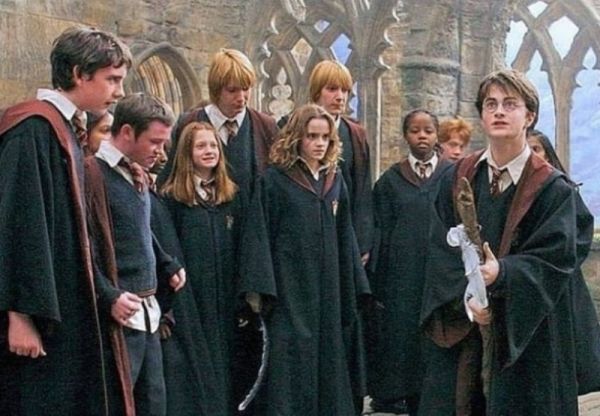 Αυτά είναι τα τρία εξυπνότερα ζώδια