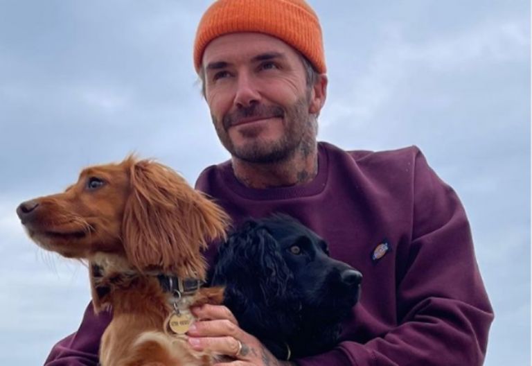 Γιατί πρέπει να έχεις στην ζωή σου έναν Ταύρο;