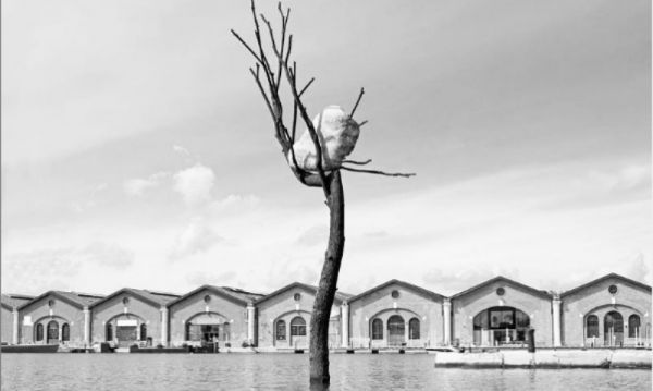 Ένα δέντρο στη Μπιενάλε της Βενετίας θέλει να μας κάνει να «ακούμε» περισσότερο