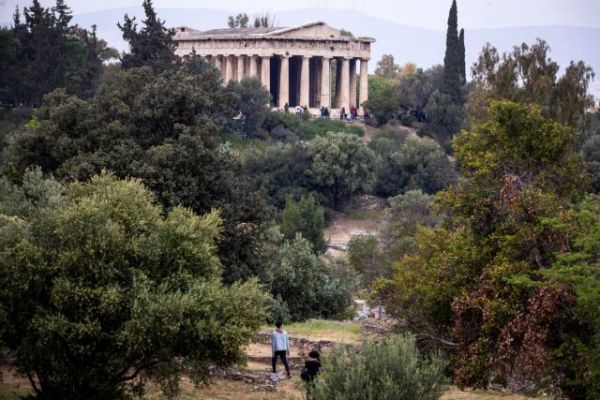 Ακρόπολη: Δεν θα πιστεύετε πόσα είδη φυτών υπάρχουν γύρω