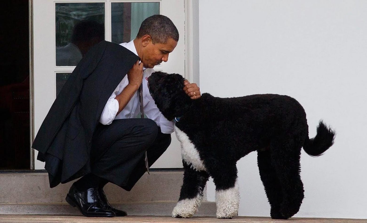 Ομπάμα: Ο αγαπημένος σκύλος της οικογένειας έφυγε από τη ζωή