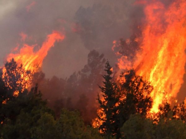 Φωτιά στην Κορινθία: Πολύ δύσκολη η κατάσταση – Ενεργοποιήθηκε ξανά το 112 – Νέα εκκένωση οικισμών