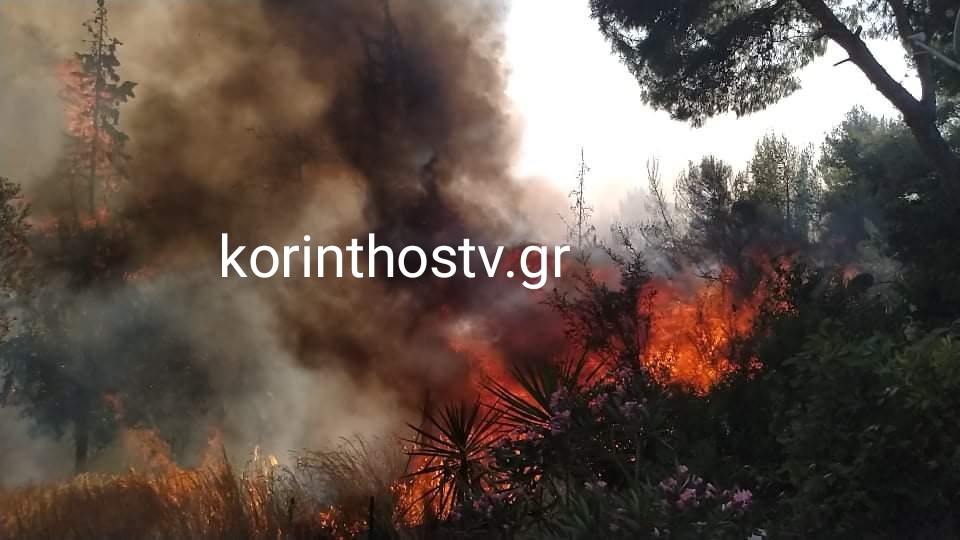 Συναγερμός στην Πυροσβεστική: Επικίνδυνη η φωτιά στα Ίσθμια Κορινθίας – Εκκενώθηκε οικισμός