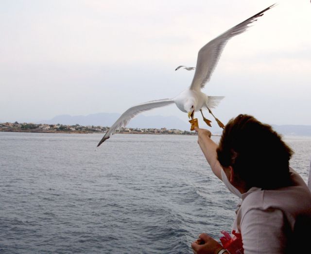 Άρση lockdown: Πώς και από πότε θα ταξιδεύουμε σε νησιά και ηπειρωτική χώρα