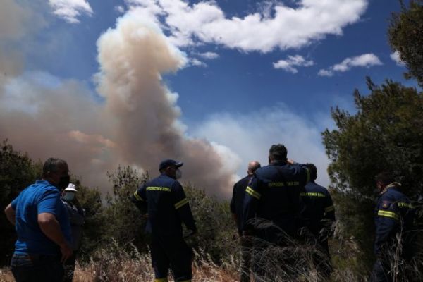Γιώργος Πατούλης: Η ευθύνη για αντιπυρικές ζώνες ανήκει στο Δασαρχείο και την Αποκεντρωμένη Διοίκηση