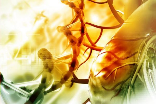 Πνευμονική εμβολή: Η σπάνια αλλά επικίνδυνη επιπλοκή που σκότωσε την 30χρονη έγκυο στην Κατούνα