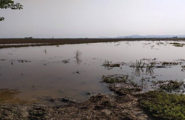 Αποζημιώσεις από πλημμύρες: Τα δικαιολογητικά και η προθεσμία