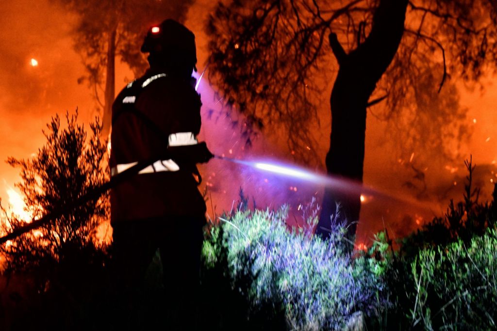 Φωτιά στην Κορινθία: Τεράστια οικολογική καταστροφή