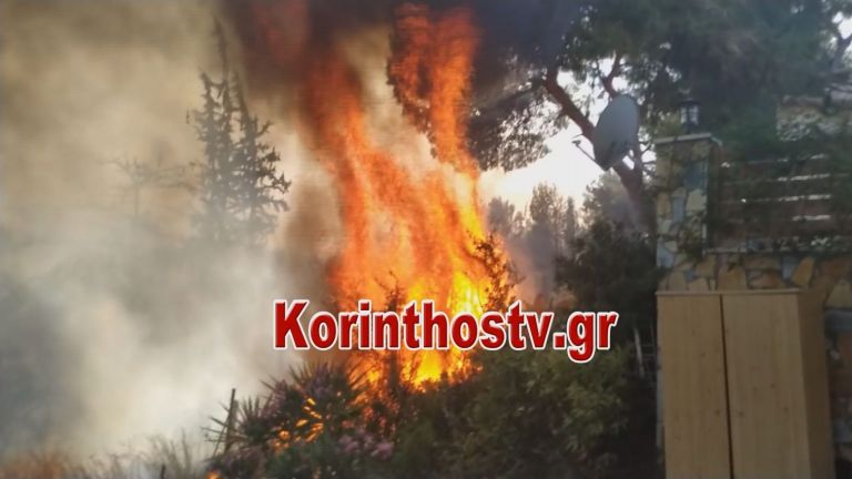 Υπό έλεγχο οι φωτιές σε Κορινθία και Φθιώτιδα