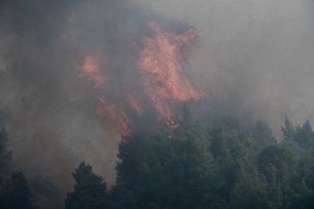 Φωτιά στην Κορινθία: Εκτακτη ενημέρωση από τον Χαρδαλιά στις 9:30