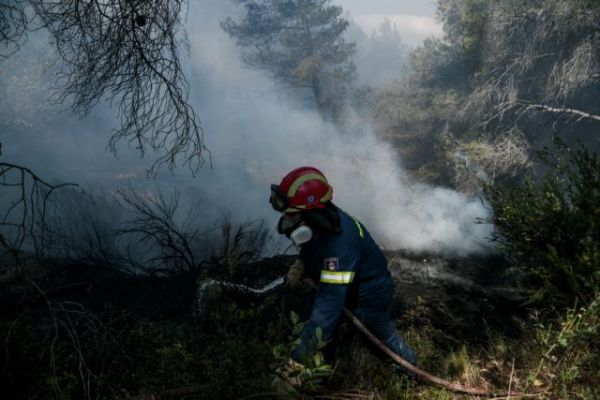 Φωτιά σε Κορινθία και Μέγαρα: Κρανίου τόπος τα άλλοτε καταπράσινα βουνά