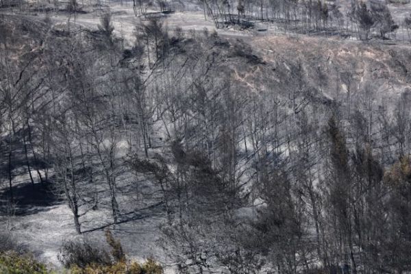 Φωτιά σε Κορινθία και Δ.Αττική: Η τεράστια οικολογική καταστροφή από ψηλά – Το πριν και το μετά