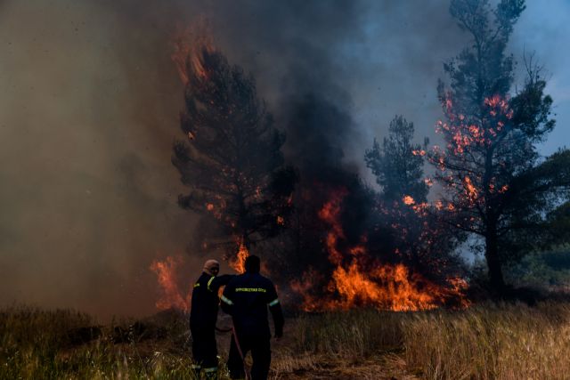 Φωτιά στα Γεράνεια Όρη: Αυτά είναι τα μέτρα ανακούφισης των πληγέντων