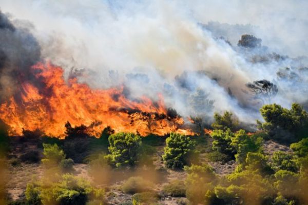 Φωτιά στην Κερατέα – Κοντά σε διάσπαρτες κατοικίες
