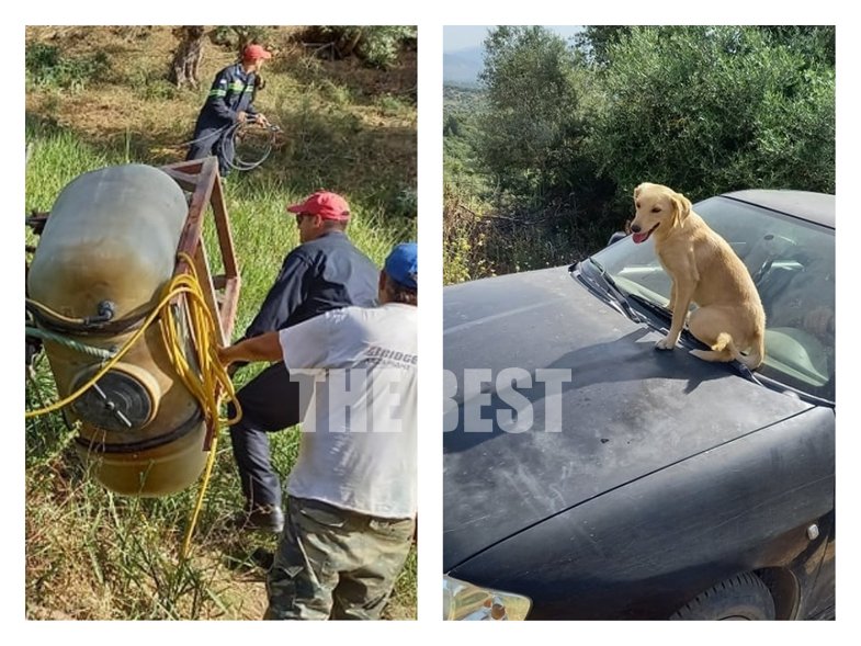 Ηλεία: Ο σκύλος του τραυματία που συγκίνησε - Ανέβηκε στο καπό του ΙΧ για να φύγει με το αφεντικό του