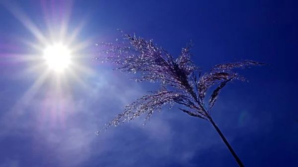 Ρεκόρ θερμοκρασιών για την Δευτέρα του Πάσχα – Τι καιρό θα κάνει την Τρίτη
