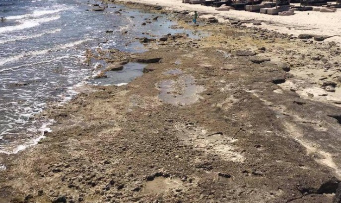 Χαλκιδική: Επιμένει η άμπωτη – Δείτε πού έχει φτάσει η παραλία