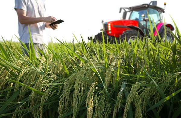 Β. Αιγαίο: Στην ατζέντα και προγράμματα κατάρτισης αγροτών