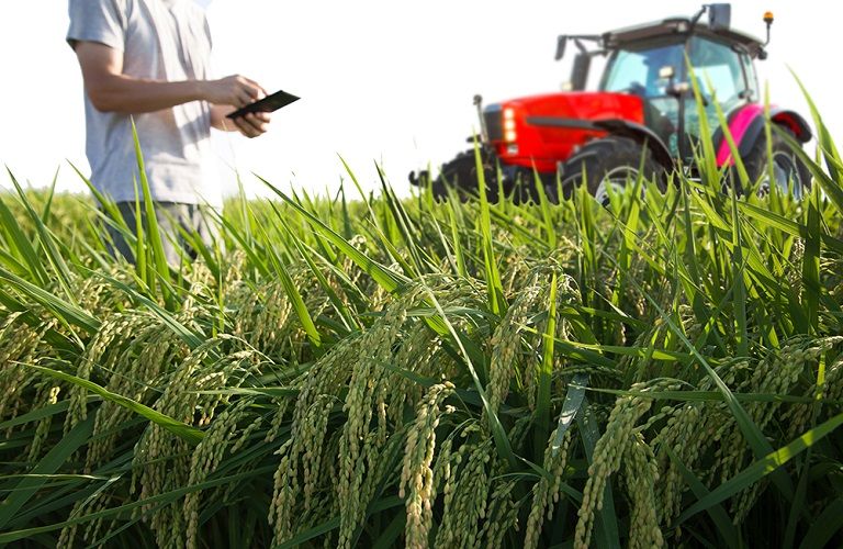 Β. Αιγαίο: Στην ατζέντα και προγράμματα κατάρτισης αγροτών