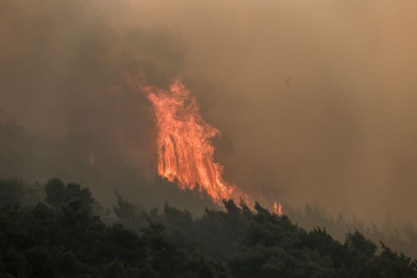 Ανεξέλεγκτη η φωτιά στην Κοκκιναρέα – Υποχώρησαν οι πυροσβεστικές δυνάμεις