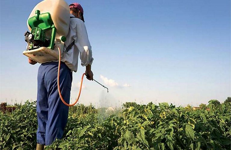 Παράσιτα και φυτοφάρμακα: Όλα όσα πρέπει να γνωρίζετε