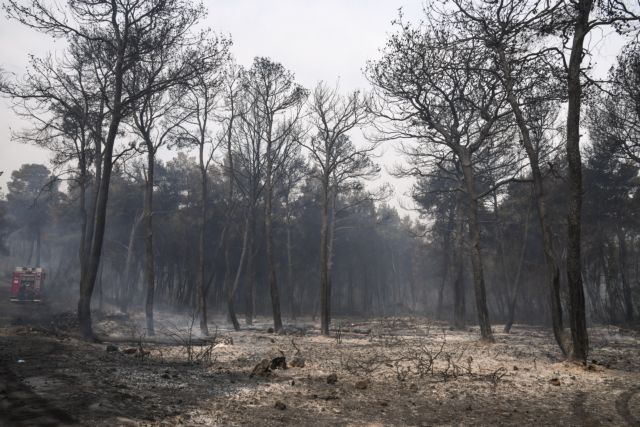 Φωτιά στον Σχίνο: Κραυγή αγωνίας από τον δήμαρχο Μεγαρέων – «Ανεξέλεγκτη η κατάσταση»
