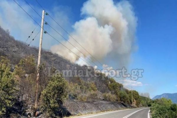 Φωτιά στην Μακρακώμη Φθιώτιδας – Κοντά σε χωριό