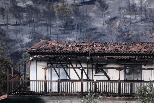 Ευθύμης Λέκκας: Τεράστιες οι επιπτώσεις από την πυρκαγιά στο Σχίνο
