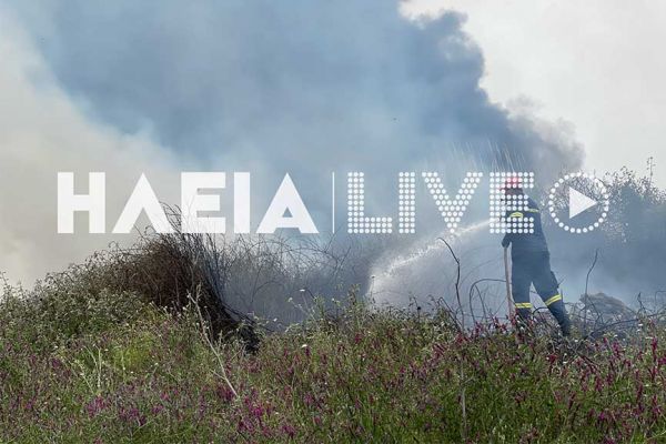 Υπό έλεγχο η φωτιά κοντά στην εθνική οδό Πύργου – Αρχαίας Ολυμπίας