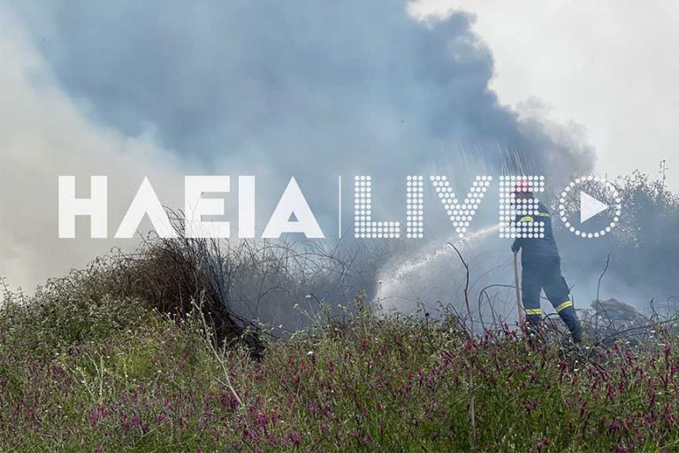 Υπό έλεγχο η φωτιά κοντά στην εθνική οδό Πύργου – Αρχαίας Ολυμπίας