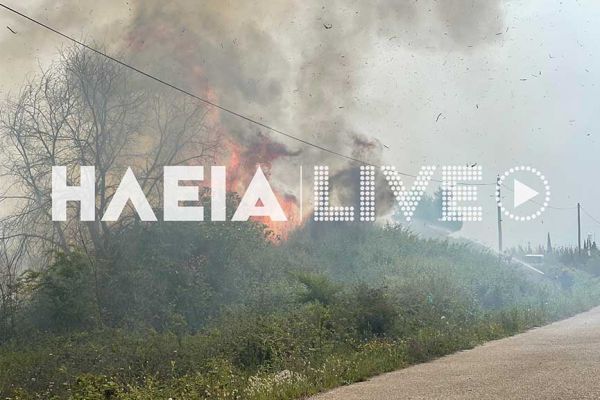 Σε εξέλιξη φωτιά κοντά στην εθνική οδό Πύργου – Αρχαίας Ολυμπίας