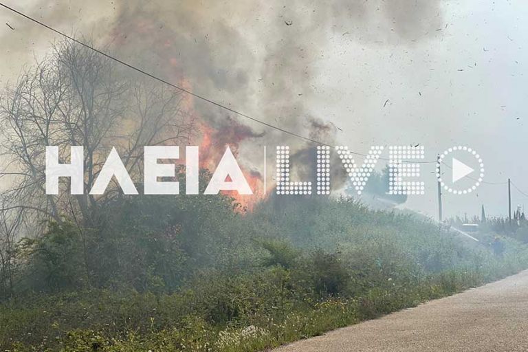 Σε εξέλιξη φωτιά κοντά στην εθνική οδό Πύργου – Αρχαίας Ολυμπίας