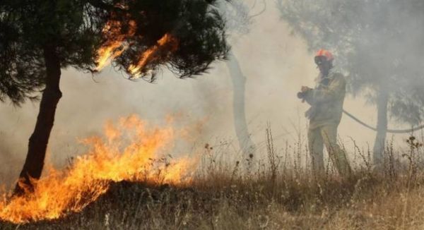 Πυρκαγιές: Πολύ υψηλός ο κίνδυνος εκδήλωσής τους τις επόμενες ώρες