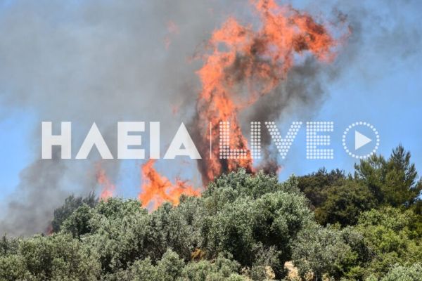 Φωτιά στον Πύργο: Πυρκαγιά σε δασική έκταση – Επιχειρούν ισχυρές δυνάμεις της Πυροσβεστικής