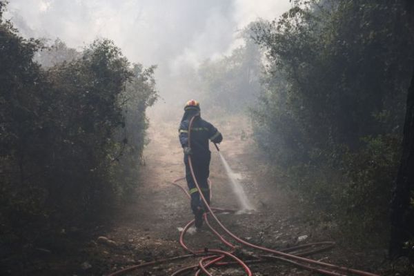 Φωτιά στον Σχίνο: Εκκενώνεται και το Αλεποχώρι