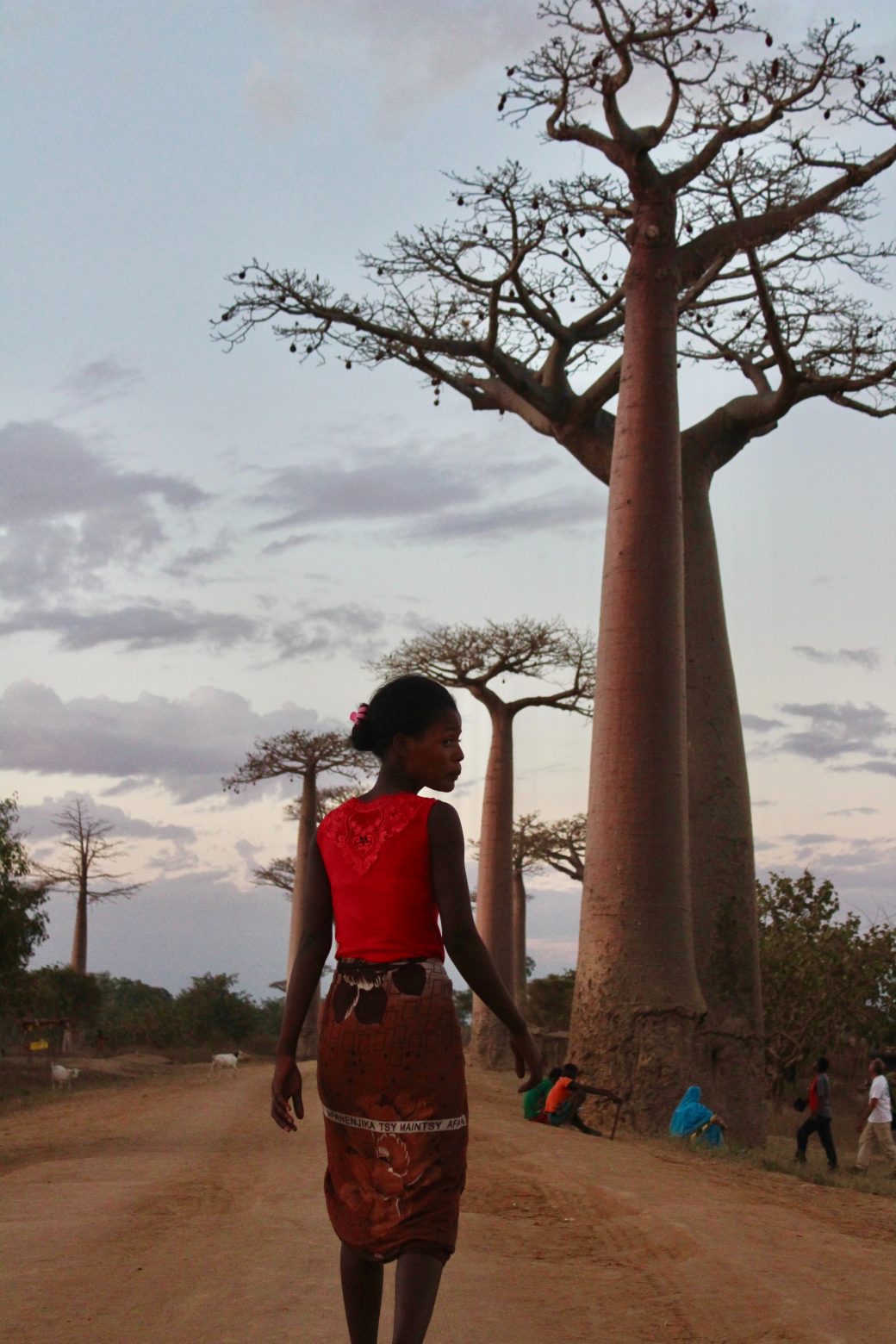 Κλιματική αλλαγή: Περισσότεροι από 1 εκατ. άνθρωποι στη Μαδαγασκάρη  κινδυνεύουν να πεθάνουν από πείνα | in.gr