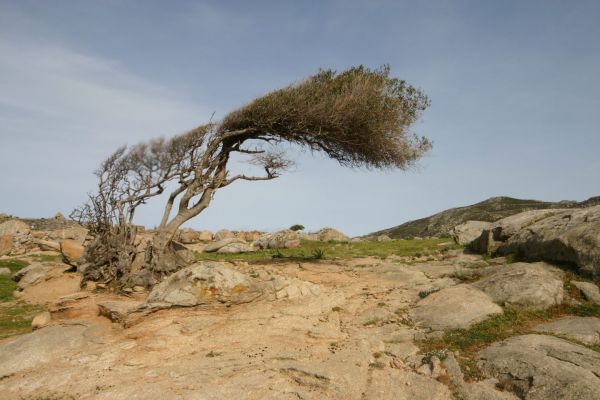 Καιρός: Έφτασε τα 140 χιλιόμετρα την ώρα η ταχύτητα του ανέμου στην Τήνο