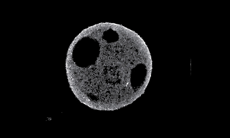 Μικροσκοπικές καρδιές εργαστηρίου πάλλονται σαν τις πραγματικές – Βίντεο