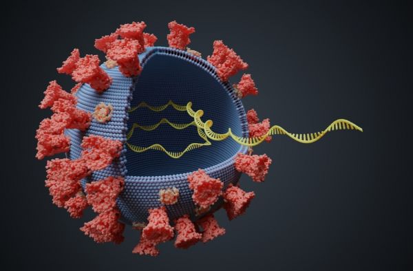 Κοροναϊός: Μυστηριώδη «ύπουλα» αντισώματα ίσως ευθύνονται για την βαριά νόσο