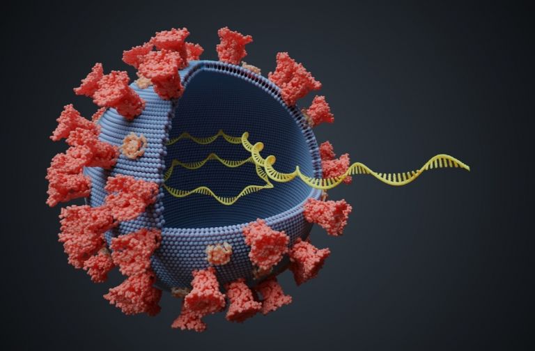Κοροναϊός: Μυστηριώδη «ύπουλα» αντισώματα ίσως ευθύνονται για την βαριά νόσο